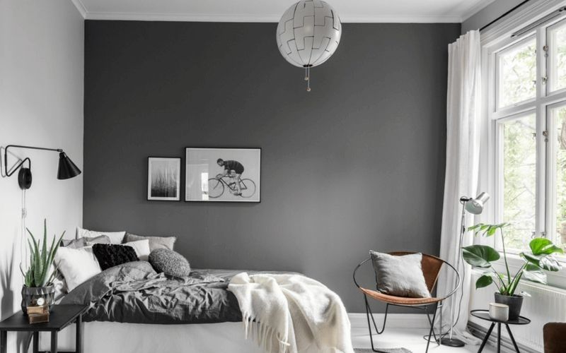 Gam màu xám sáng trọng và tinh tế