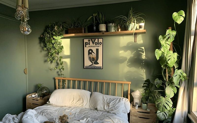 Màu xanh rêu mới lạ cho không gian phòng ngủ