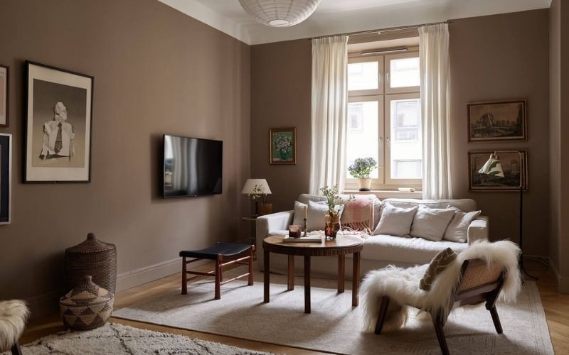 Giới thiệu về màu sơn nâu đất