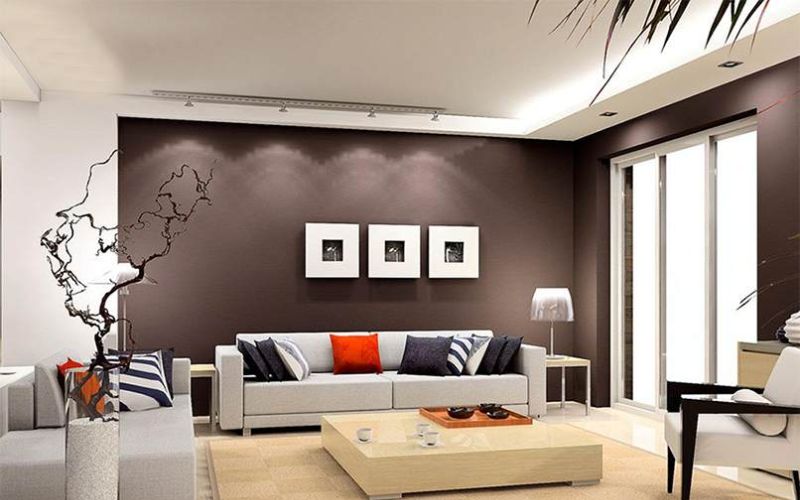 Gam màu nâu trắng mang lại sự bắt mắt