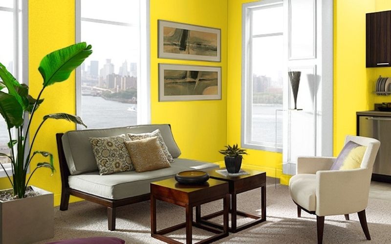 Màu vàng chanh sinh động và tươi trẻ