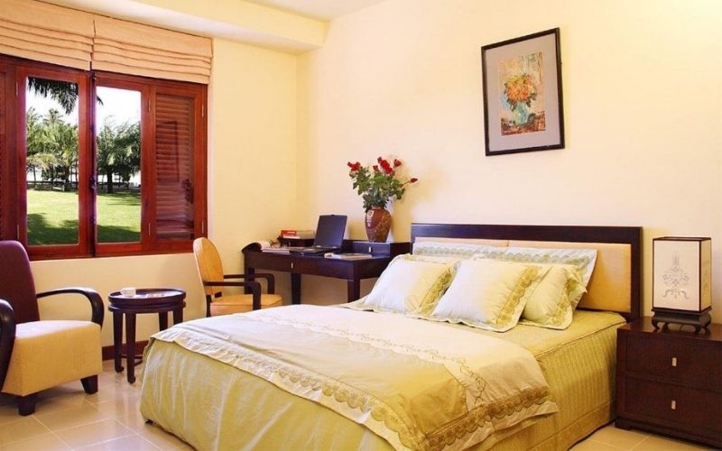 Màu vàng lông gà con độc lạ và ấn tượng