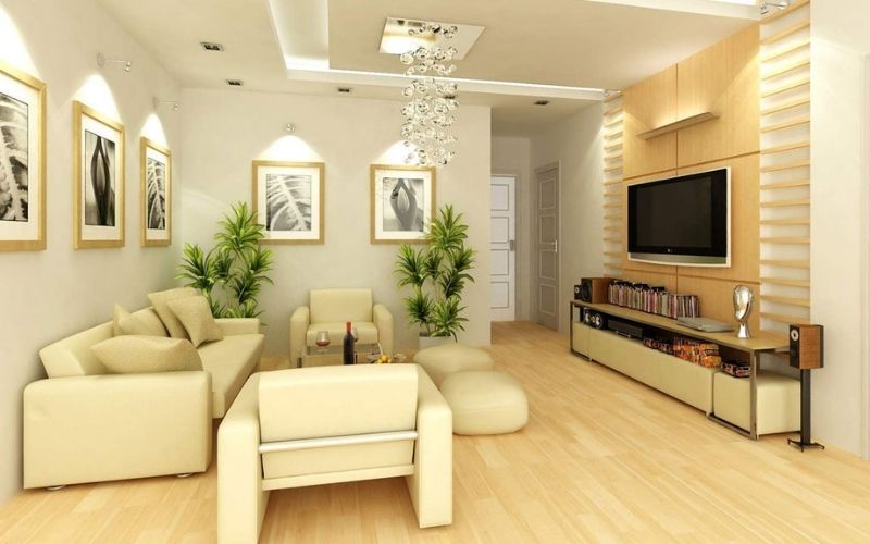 Màu vàng lông gà con nhẹ nhàng và thanh lịch