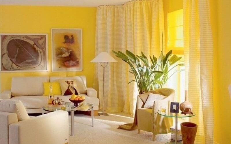Phòng khách tràn đầy sức sống với gam màu vàng