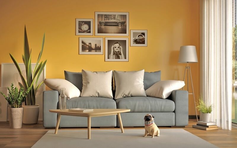 Ý tưởng sơn phòng khách màu vàng tươi mới