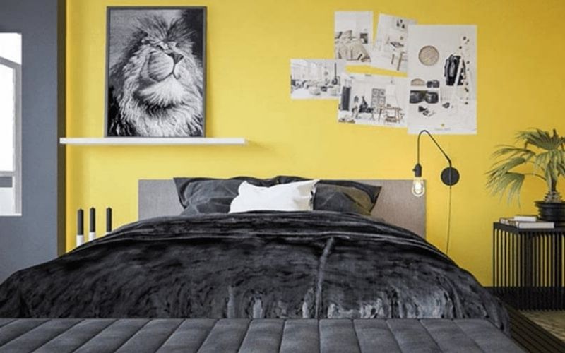 Sắc vàng- xám mang lại năng lượng tích cực